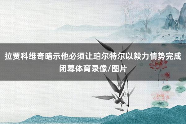 拉贾科维奇暗示他必须让珀尔特尔以毅力情势完成闭幕体育录像/图片