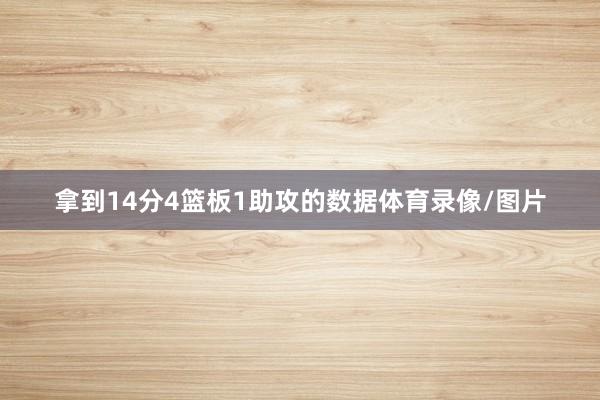 拿到14分4篮板1助攻的数据体育录像/图片