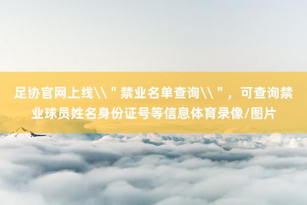 足协官网上线\＂禁业名单查询\＂，可查询禁业球员姓名身份证号等信息体育录像/图片