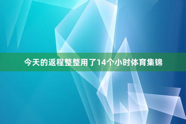 今天的返程整整用了14个小时体育集锦