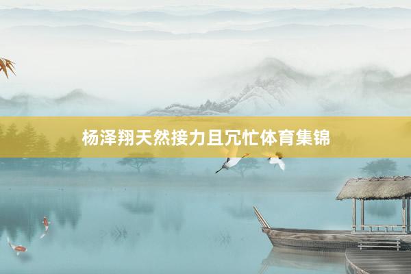 杨泽翔天然接力且冗忙体育集锦