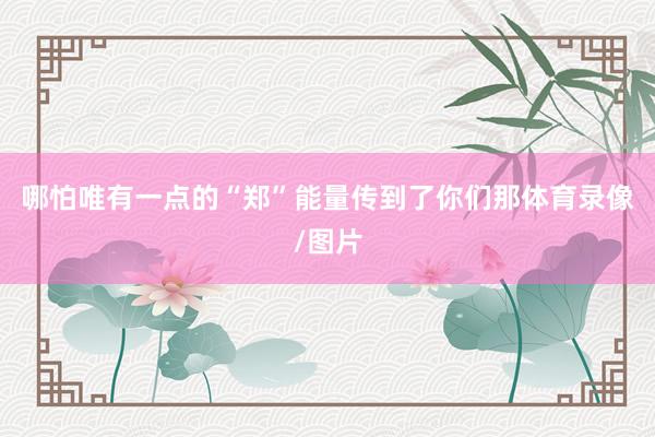 哪怕唯有一点的“郑”能量传到了你们那体育录像/图片