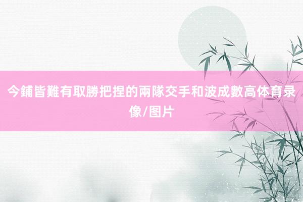 今鋪皆難有取勝把捏的兩隊交手和波成數高体育录像/图片
