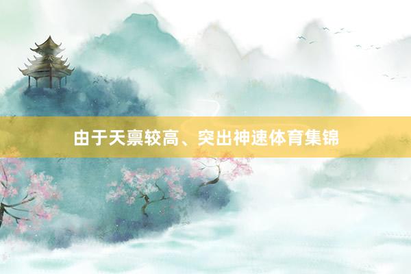 由于天禀较高、突出神速体育集锦