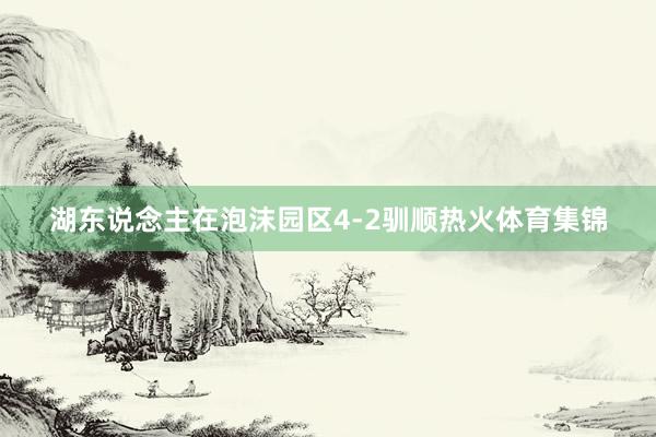 湖东说念主在泡沫园区4-2驯顺热火体育集锦