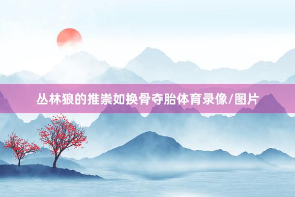 丛林狼的推崇如换骨夺胎体育录像/图片