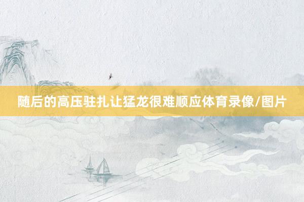 随后的高压驻扎让猛龙很难顺应体育录像/图片