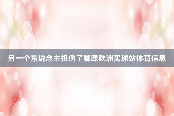 另一个东说念主扭伤了脚踝欧洲买球站体育信息