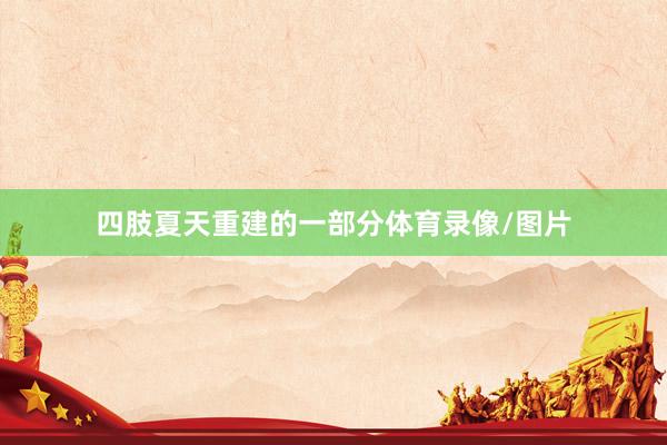 四肢夏天重建的一部分体育录像/图片