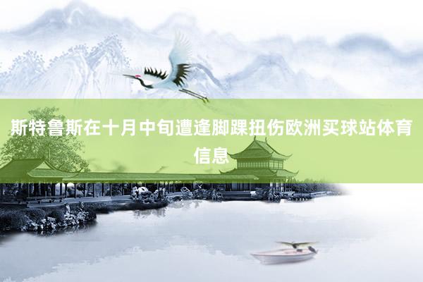斯特鲁斯在十月中旬遭逢脚踝扭伤欧洲买球站体育信息