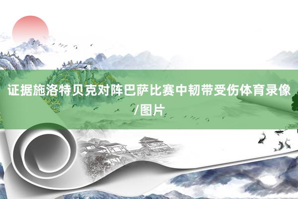 证据施洛特贝克对阵巴萨比赛中韧带受伤体育录像/图片