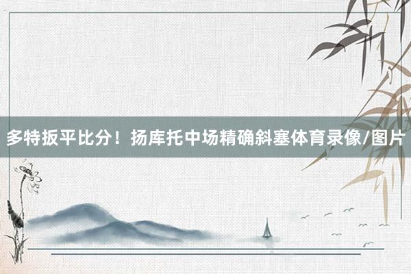 多特扳平比分!扬库托中场精确斜塞体育录像/图片