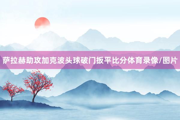 萨拉赫助攻加克波头球破门扳平比分体育录像/图片