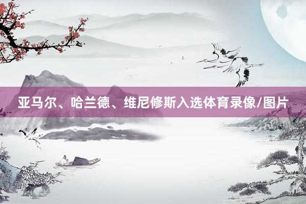 亚马尔、哈兰德、维尼修斯入选体育录像/图片