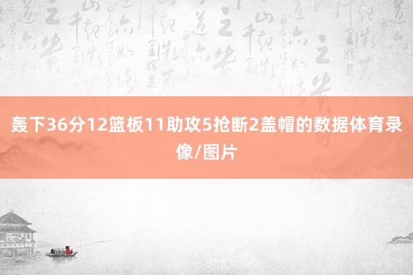 轰下36分12篮板11助攻5抢断2盖帽的数据体育录像/图片