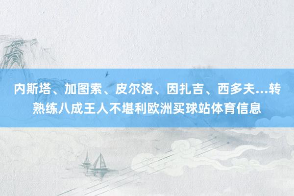 内斯塔、加图索、皮尔洛、因扎吉、西多夫...转熟练八成王人不堪利欧洲买球站体育信息