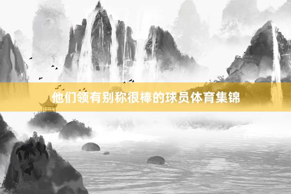 他们领有别称很棒的球员体育集锦