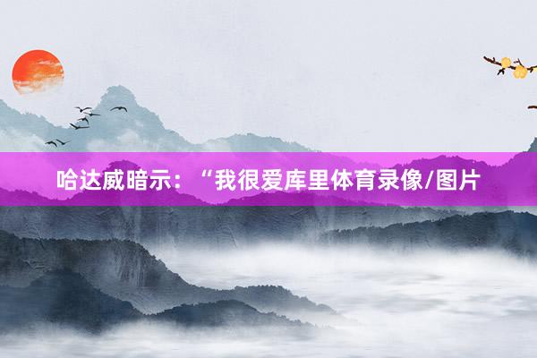 哈达威暗示：“我很爱库里体育录像/图片