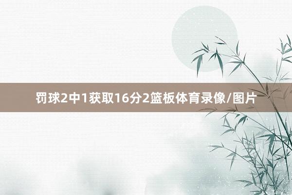 罚球2中1获取16分2篮板体育录像/图片
