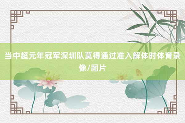 当中超元年冠军深圳队莫得通过准入解体时体育录像/图片