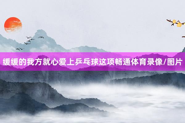缓缓的我方就心爱上乒乓球这项畅通体育录像/图片