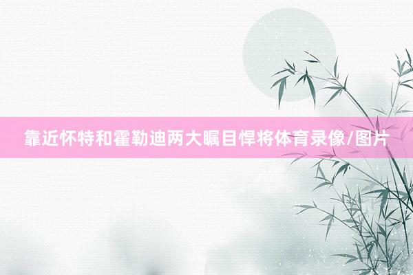 靠近怀特和霍勒迪两大瞩目悍将体育录像/图片
