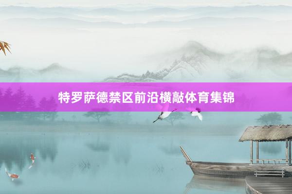 特罗萨德禁区前沿横敲体育集锦