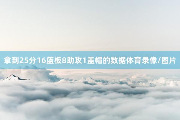 拿到25分16篮板8助攻1盖帽的数据体育录像/图片