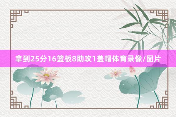 拿到25分16篮板8助攻1盖帽体育录像/图片