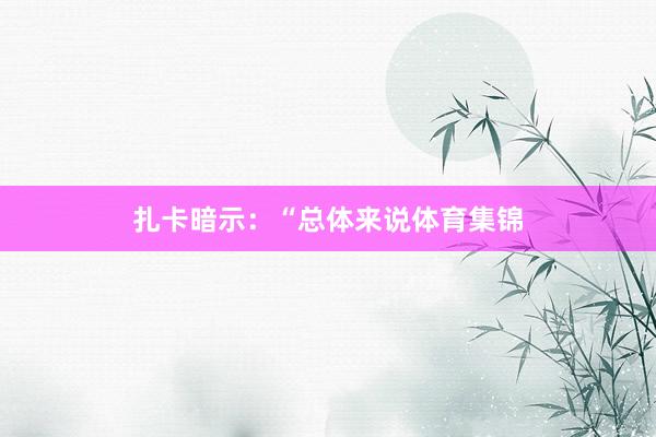 扎卡暗示：“总体来说体育集锦