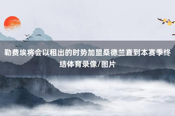 勒费埃将会以租出的时势加盟桑德兰直到本赛季终结体育录像/图片