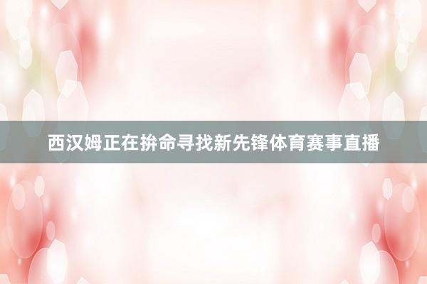 西汉姆正在拚命寻找新先锋体育赛事直播