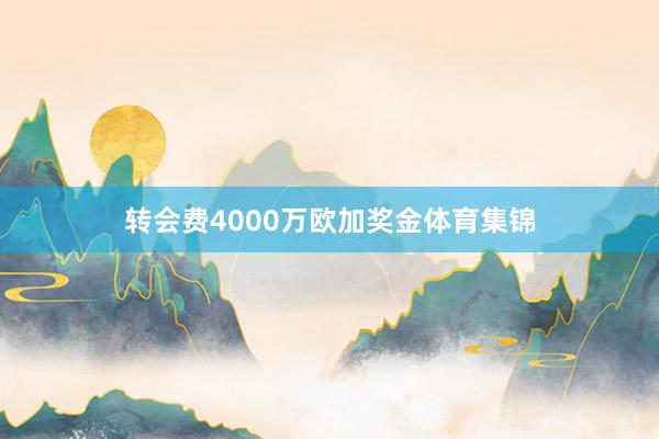 转会费4000万欧加奖金体育集锦