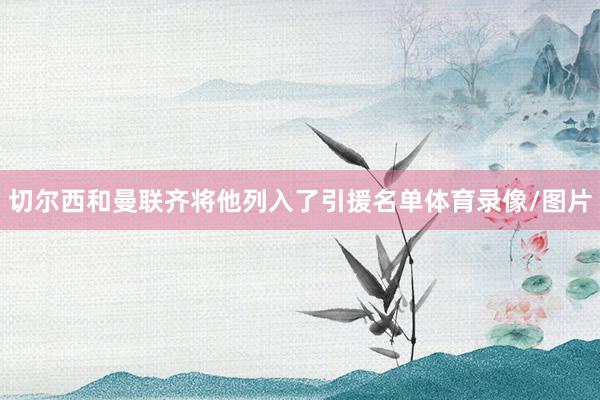切尔西和曼联齐将他列入了引援名单体育录像/图片
