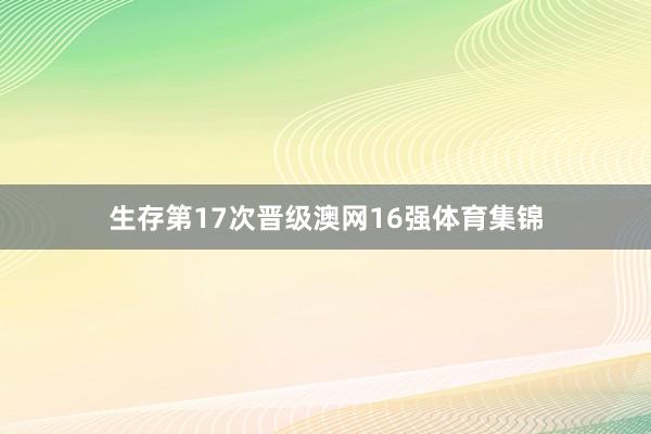 生存第17次晋级澳网16强体育集锦