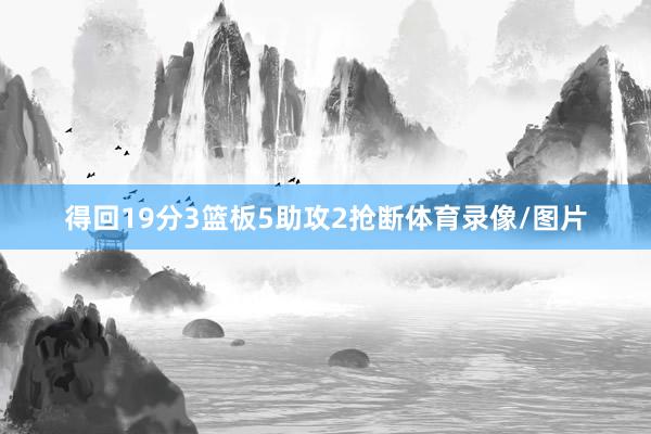 得回19分3篮板5助攻2抢断体育录像/图片