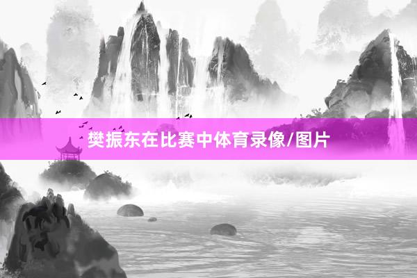 樊振东在比赛中体育录像/图片
