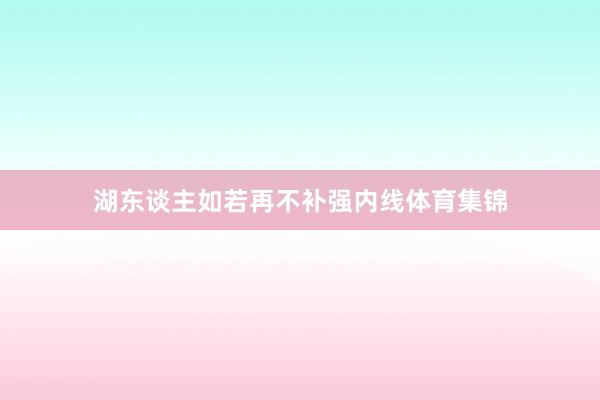 湖东谈主如若再不补强内线体育集锦