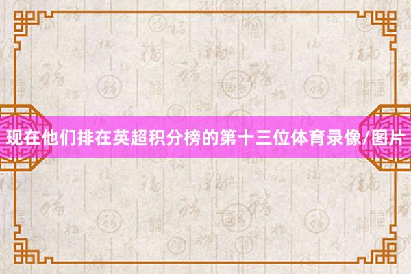 现在他们排在英超积分榜的第十三位体育录像/图片