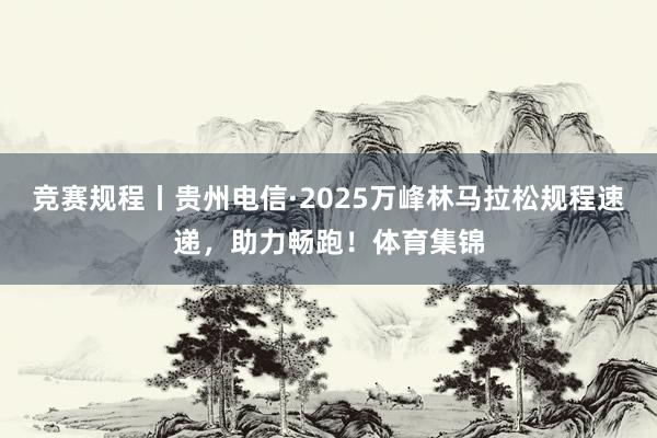 竞赛规程丨贵州电信·2025万峰林马拉松规程速递，助力畅跑！体育集锦