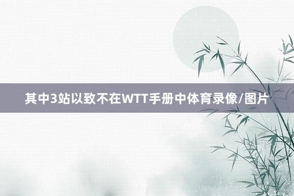 其中3站以致不在WTT手册中体育录像/图片
