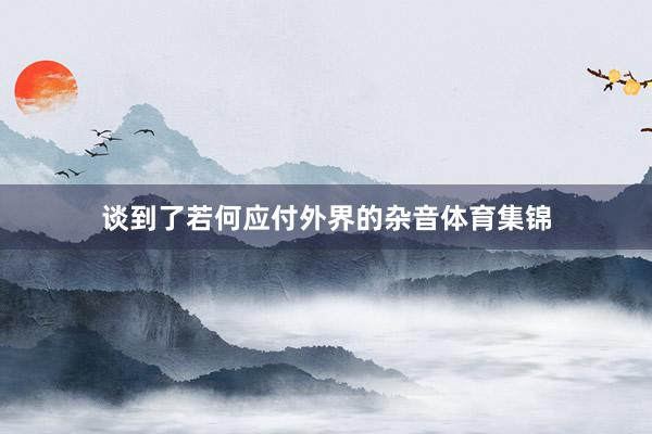 谈到了若何应付外界的杂音体育集锦