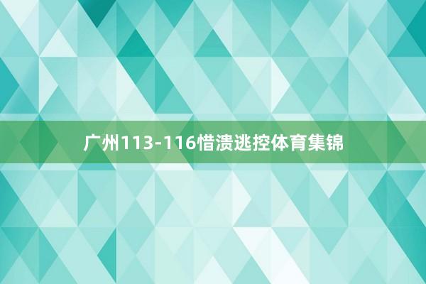 广州113-116惜溃逃控体育集锦