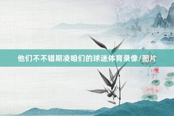 他们不不错期凌咱们的球迷体育录像/图片
