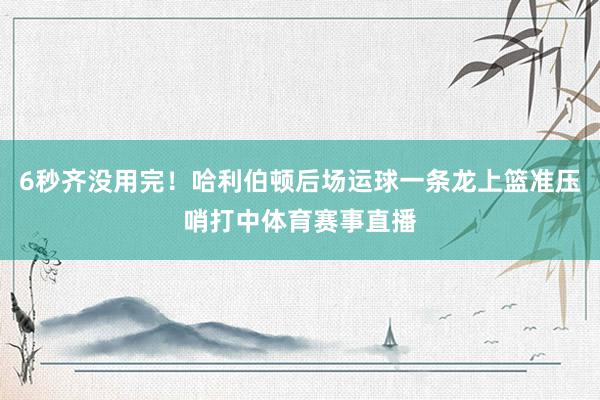 6秒齐没用完！哈利伯顿后场运球一条龙上篮准压哨打中体育赛事直播