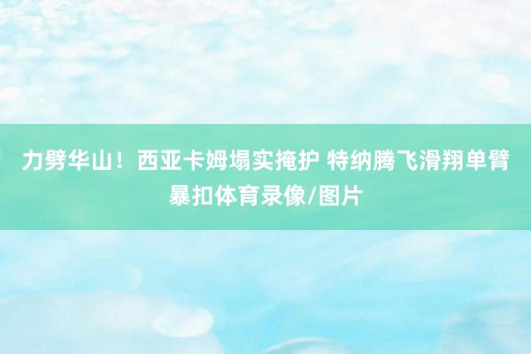 力劈华山！西亚卡姆塌实掩护 特纳腾飞滑翔单臂暴扣体育录像/图片
