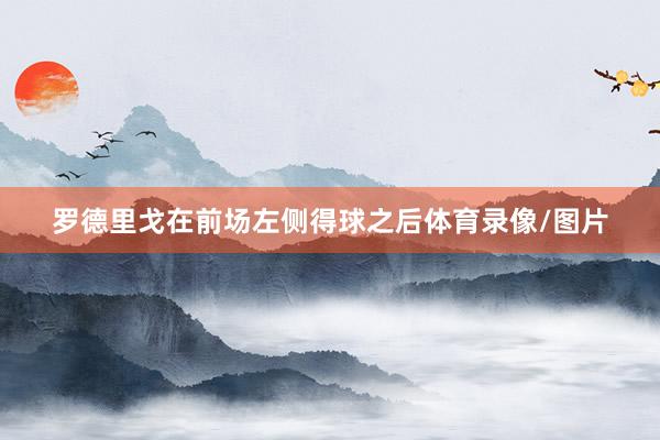 罗德里戈在前场左侧得球之后体育录像/图片