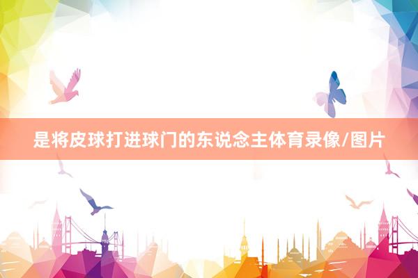 是将皮球打进球门的东说念主体育录像/图片