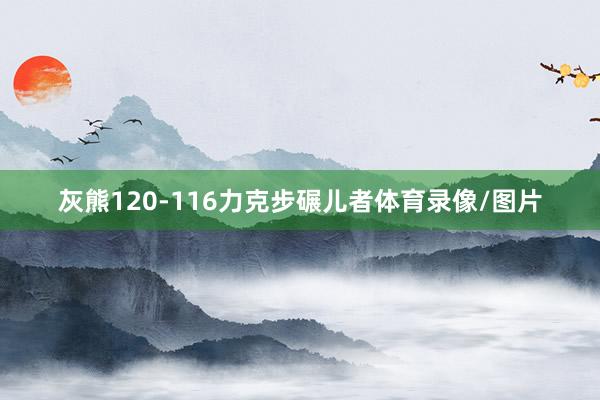 灰熊120-116力克步碾儿者体育录像/图片