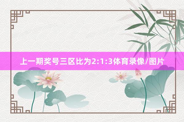 上一期奖号三区比为2:1:3体育录像/图片